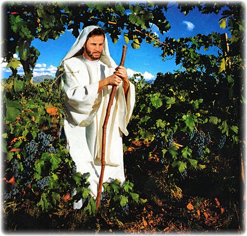 True Vine, composite digital image by L. Lovett, 2006